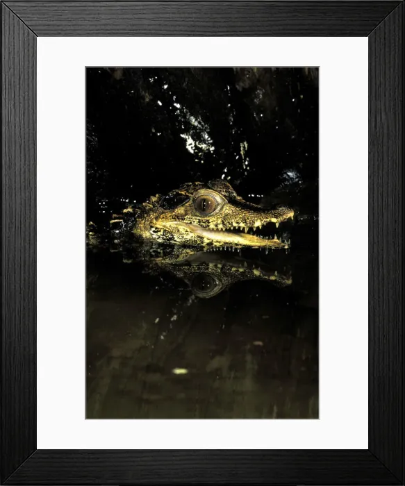 Framed Print : DDE-90037420 Framed Print : DDE-90037420