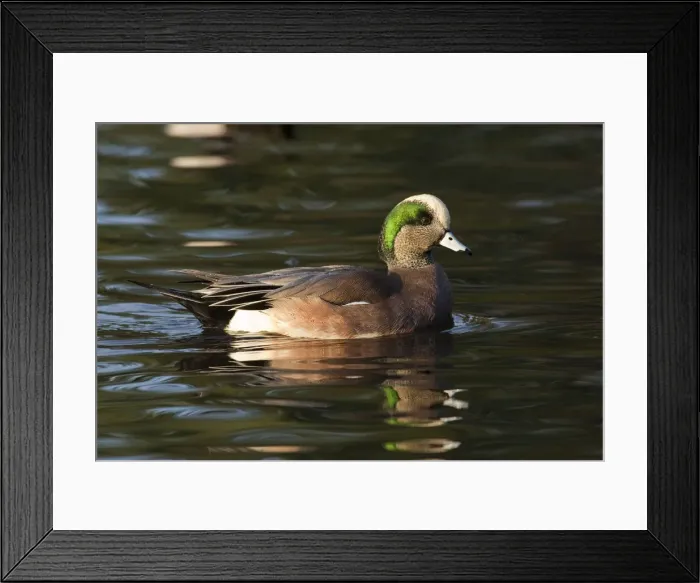 Framed Print : DDE-90037414 Framed Print : DDE-90037414