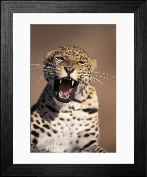Framed Print : DDE-90037430 Framed Print : DDE-90037430