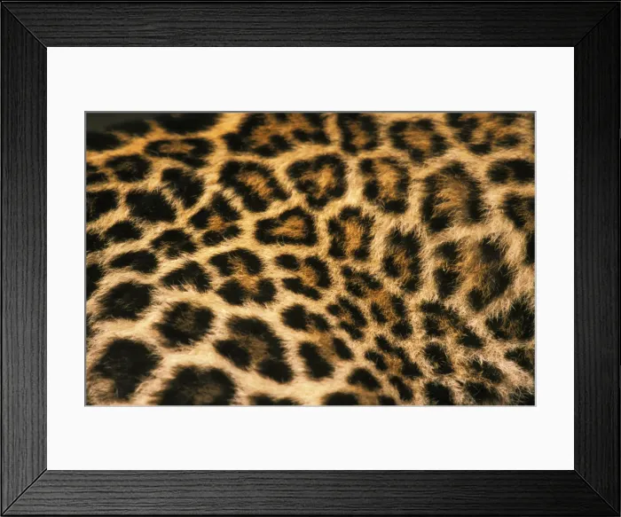 Framed Print : DDE-90037443 Framed Print : DDE-90037443