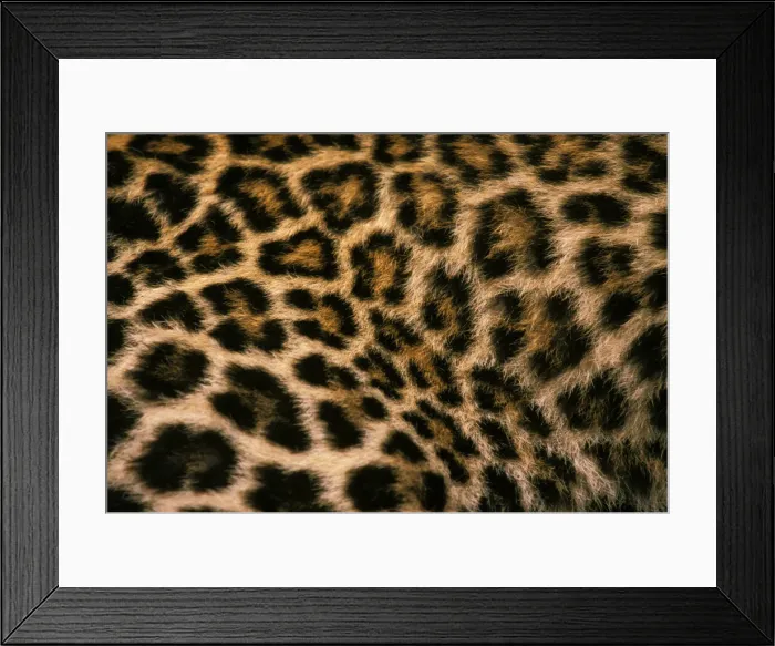 Framed Print : DDE-90037444 Framed Print : DDE-90037444