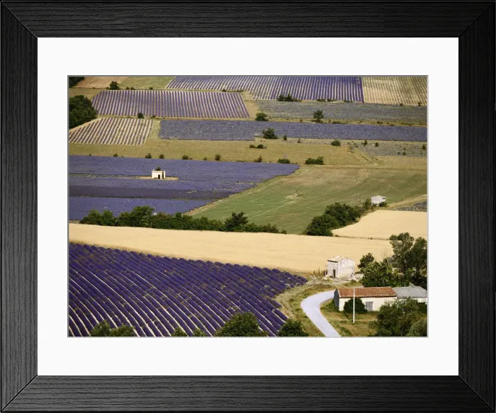 Framed Print : DDE-90037479 Framed Print : DDE-90037479