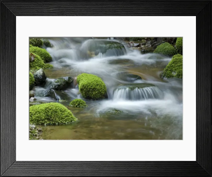 Framed Print : DDE-90037481 Framed Print : DDE-90037481