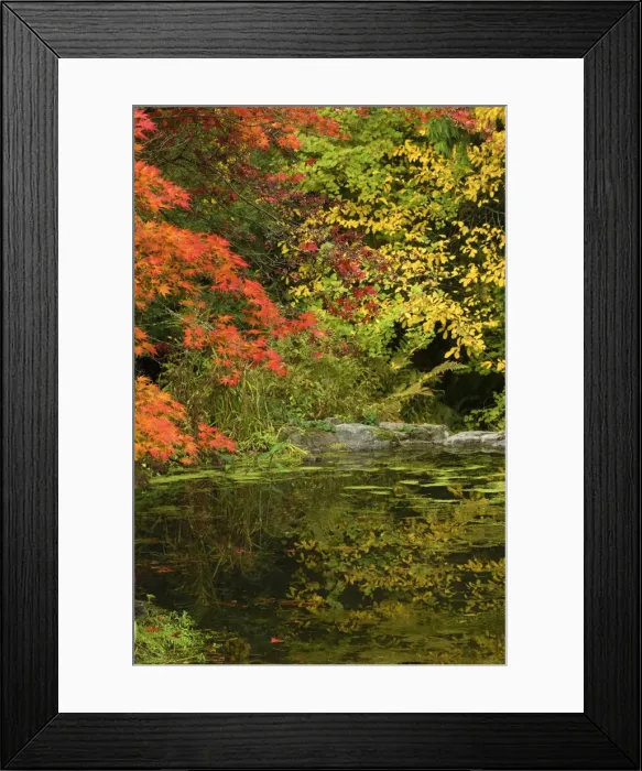 Framed Print : DDE-90037482 Framed Print : DDE-90037482
