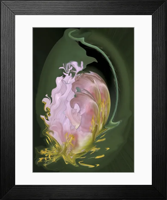 Framed Print : DDE-90037480 Framed Print : DDE-90037480