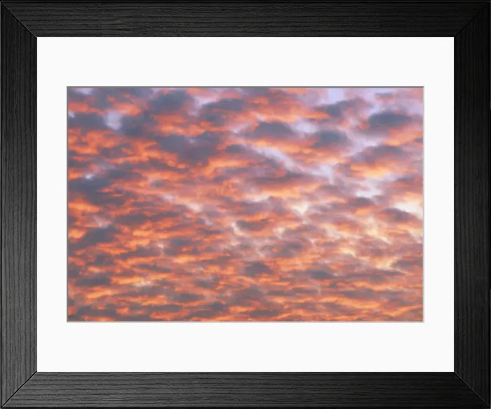 Framed Print : DDE-90037486