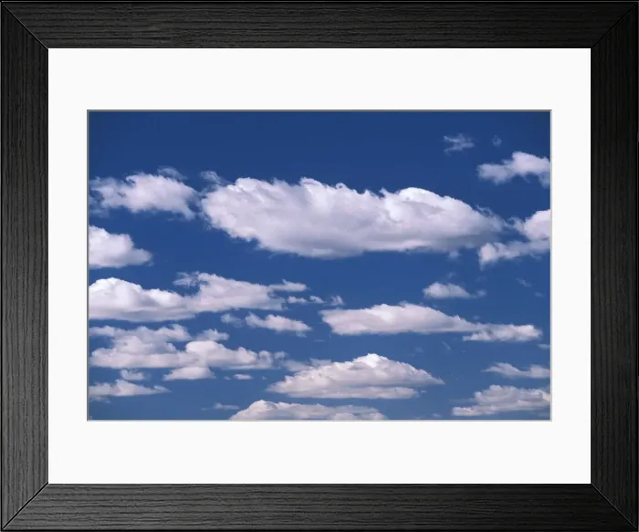 Framed Print : DDE-90037489 Framed Print : DDE-90037489