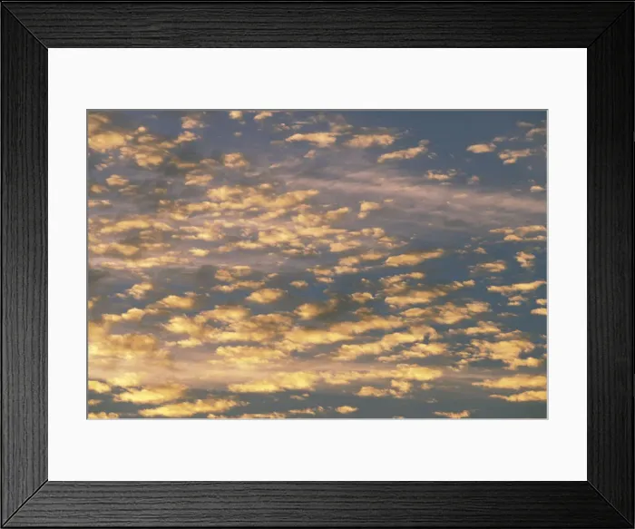 Framed Print : DDE-90037488 Framed Print : DDE-90037488