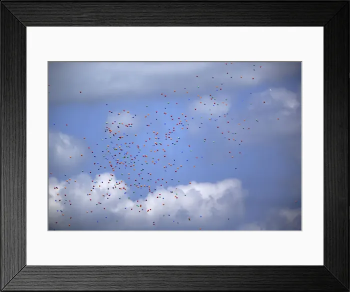 Framed Print : DDE-90037495 Framed Print : DDE-90037495