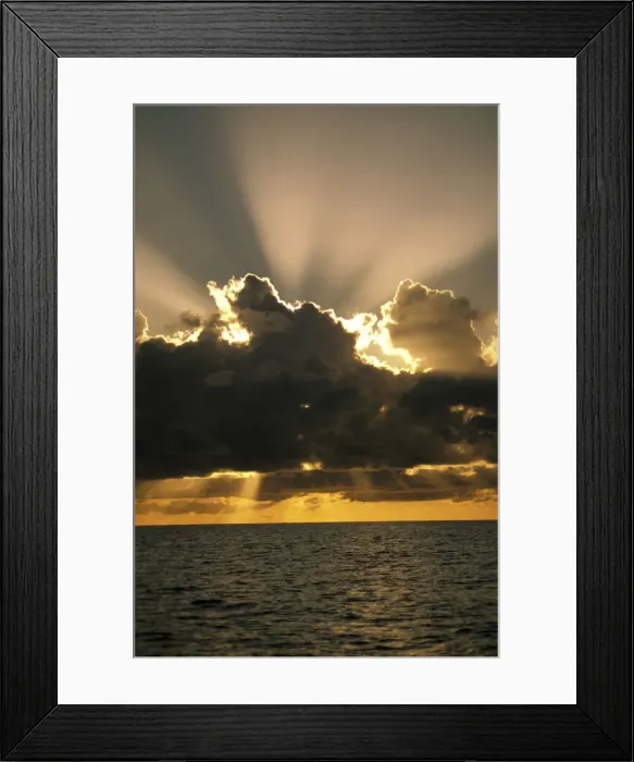 Framed Print : DDE-90037499