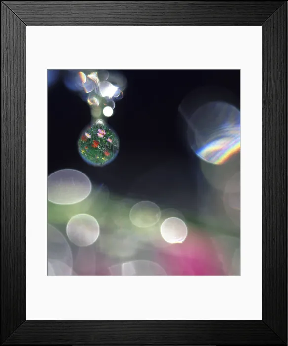 Framed Print : DDE-90037517 Framed Print : DDE-90037517