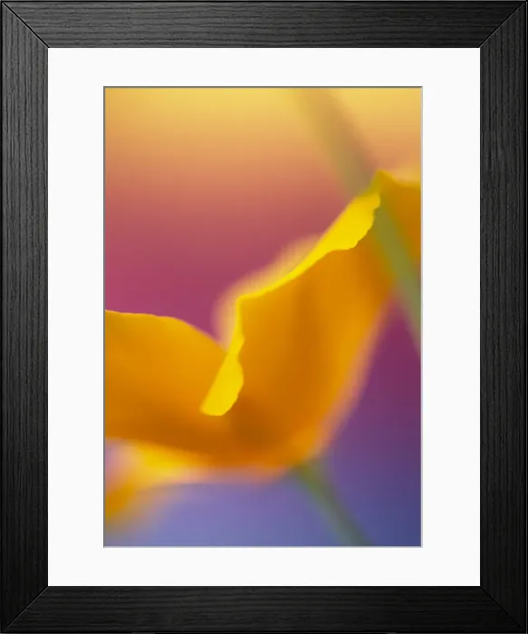 Framed Print : DDE-90037516 Framed Print : DDE-90037516