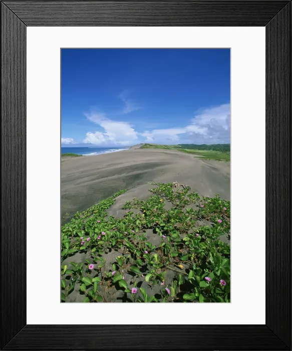 Framed Print : DDE-90037520 Framed Print : DDE-90037520