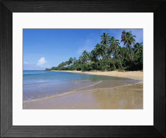 Framed Print : DDE-90037521 Framed Print : DDE-90037521