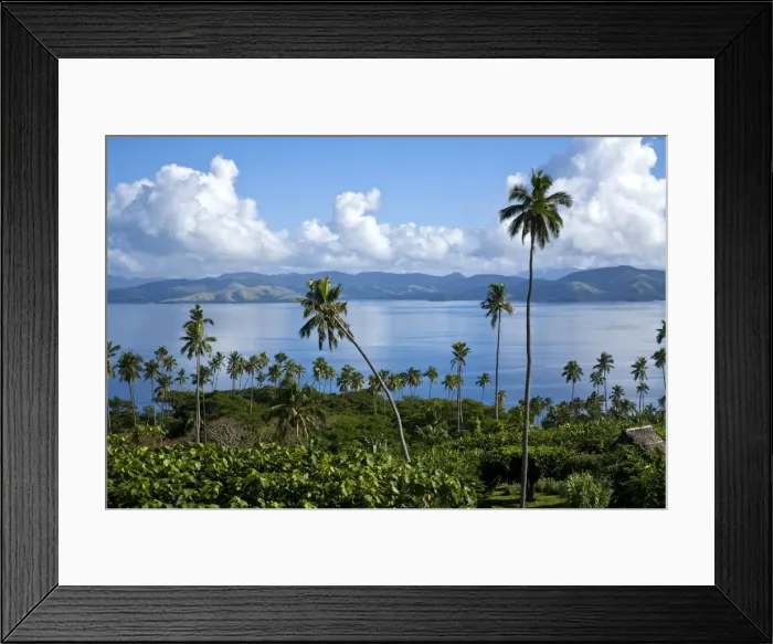 Framed Print : DDE-90037524 Framed Print : DDE-90037524