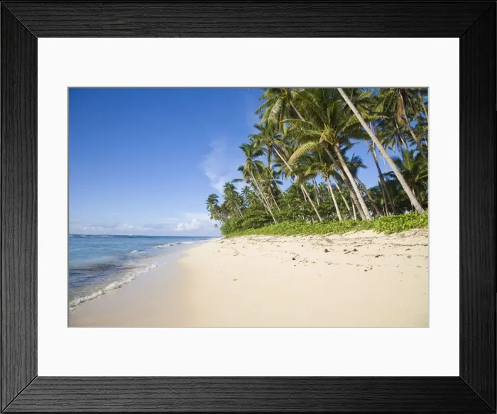 Framed Print : DDE-90037526 Framed Print : DDE-90037526