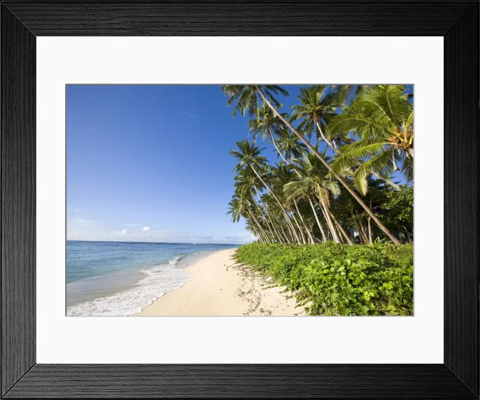 Framed Print : DDE-90037527 Framed Print : DDE-90037527