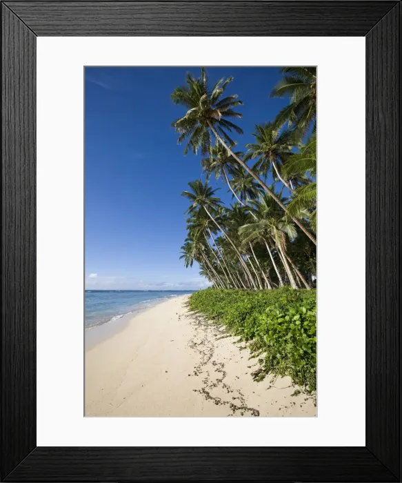 Framed Print : DDE-90037528 Framed Print : DDE-90037528
