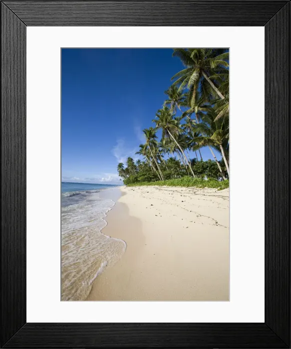 Framed Print : DDE-90037529 Framed Print : DDE-90037529