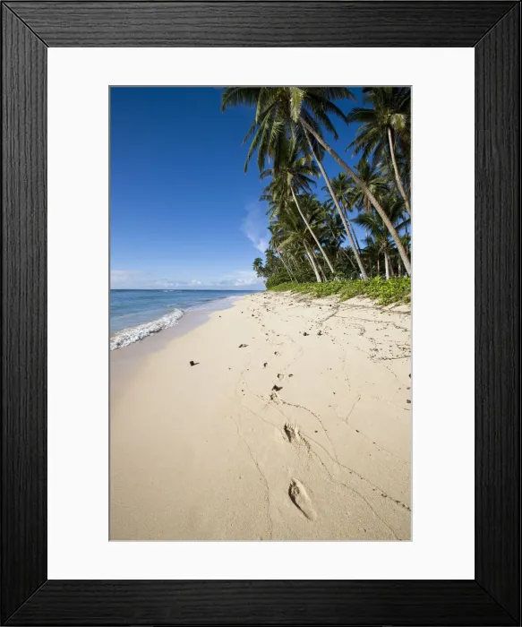 Framed Print : DDE-90037531 Framed Print : DDE-90037531
