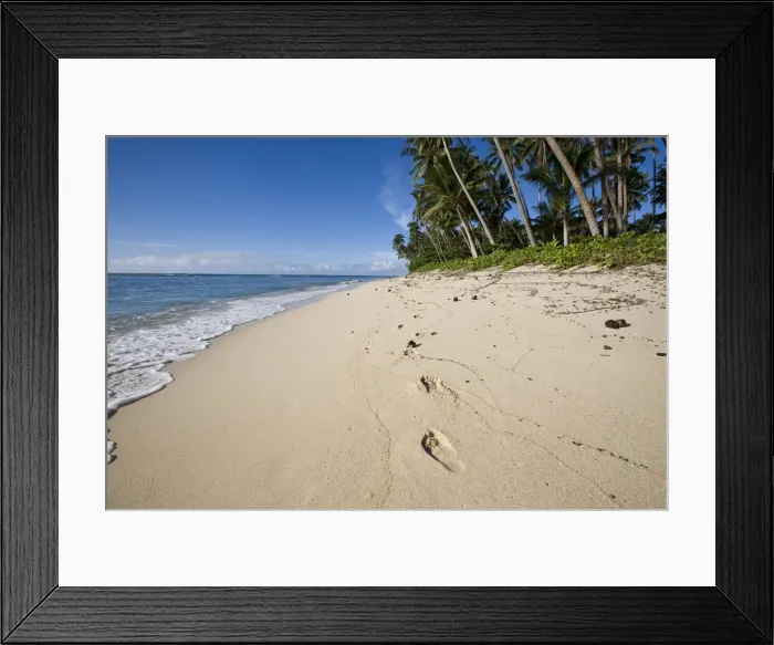 Framed Print : DDE-90037532 Framed Print : DDE-90037532