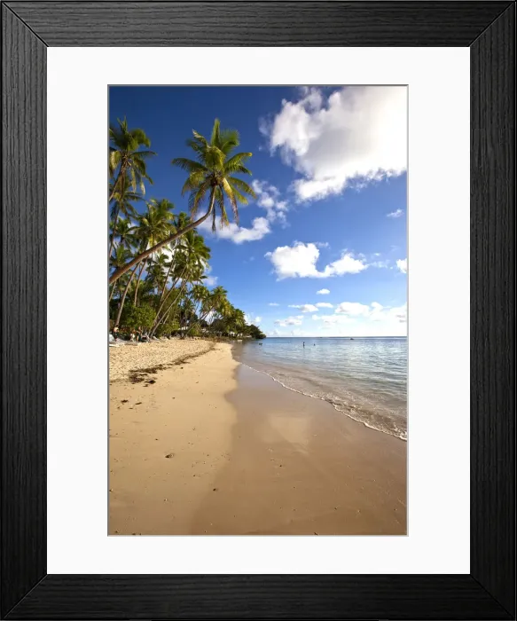 Framed Print : DDE-90037541 Framed Print : DDE-90037541