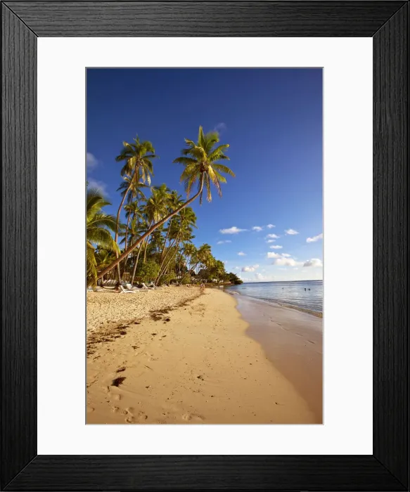 Framed Print : DDE-90037543 Framed Print : DDE-90037543