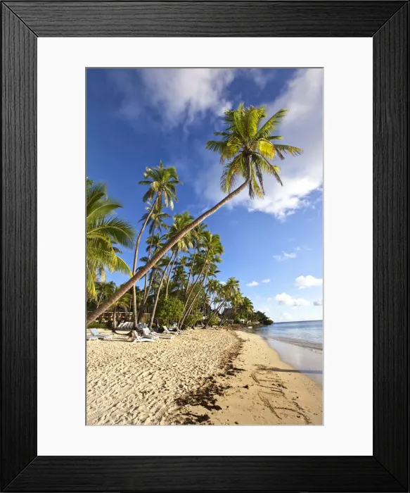 Framed Print : DDE-90037542