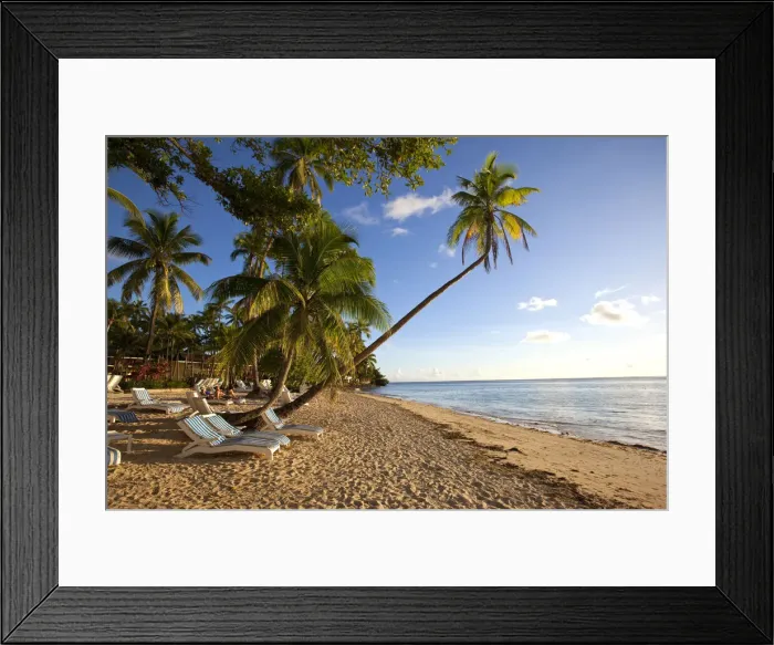 Framed Print : DDE-90037545 Framed Print : DDE-90037545