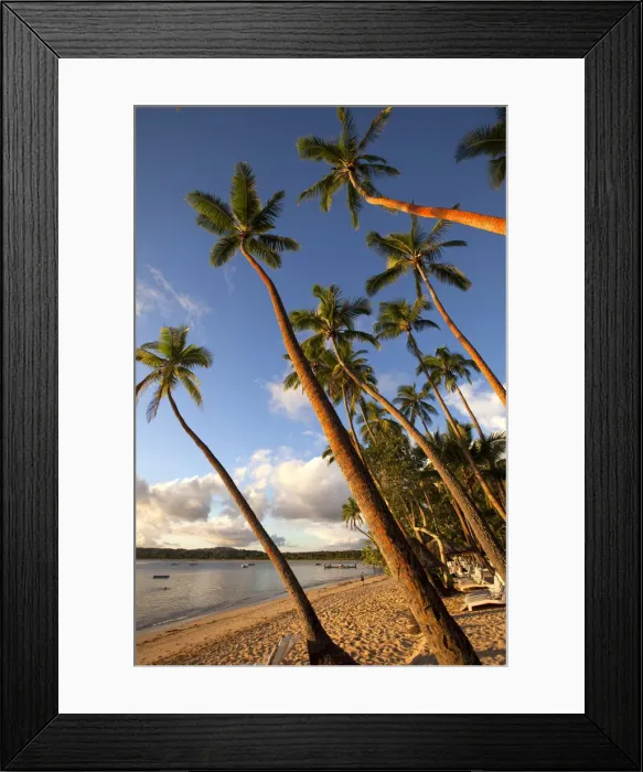 Framed Print : DDE-90037546 Framed Print : DDE-90037546