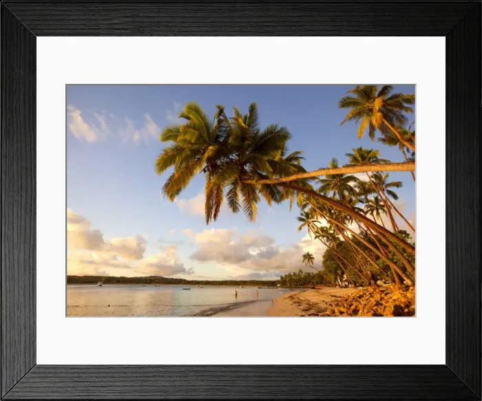 Framed Print : DDE-90037548 Framed Print : DDE-90037548