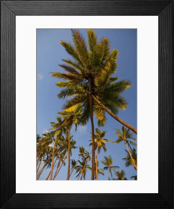 Framed Print : DDE-90037549 Framed Print : DDE-90037549