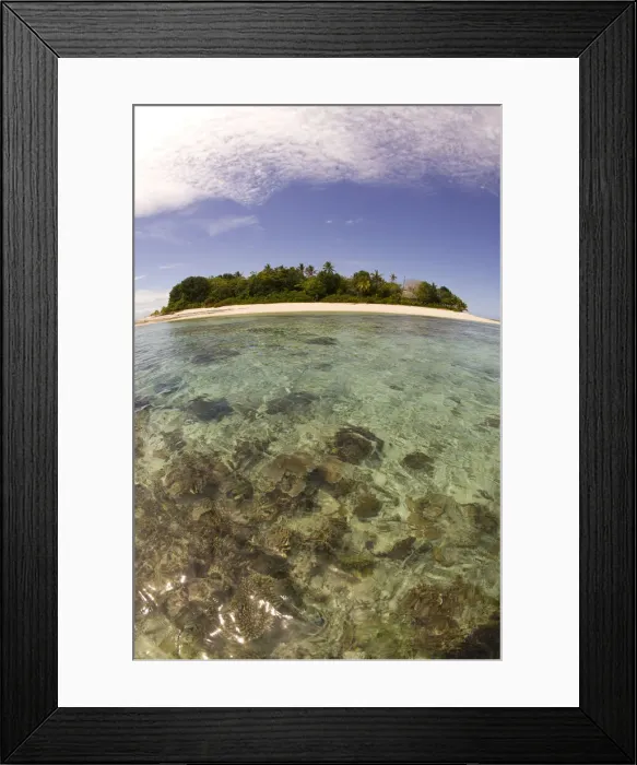 Framed Print : DDE-90037556 Framed Print : DDE-90037556