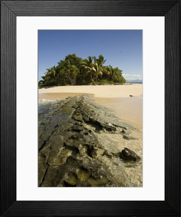 Framed Print : DDE-90037557