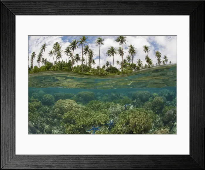Framed Print : DDE-90037561 Framed Print : DDE-90037561