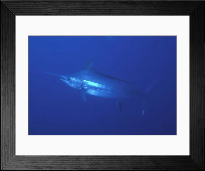 Framed Print : DDE-90037570 Framed Print : DDE-90037570