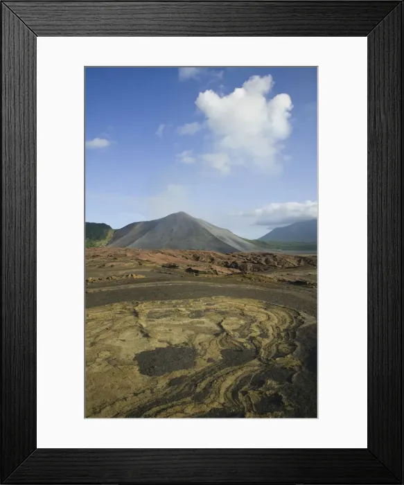 Framed Print : DDE-90037574