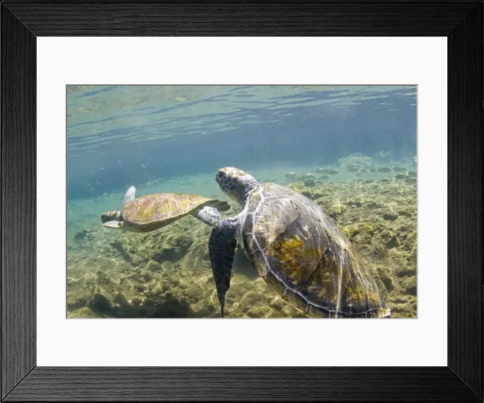Framed Print : DDE-90037577 Framed Print : DDE-90037577