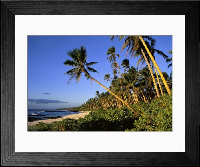 Framed Print : DDE-90037578