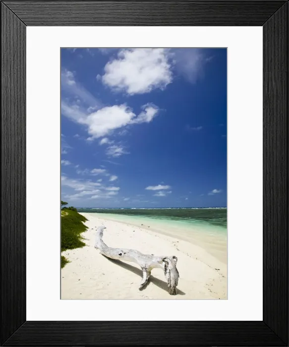 Framed Print : DDE-90037584