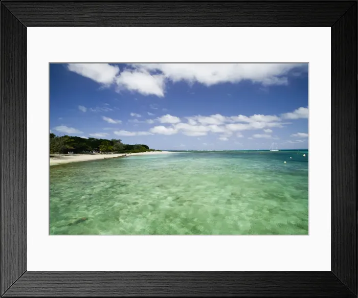 Framed Print : DDE-90037585