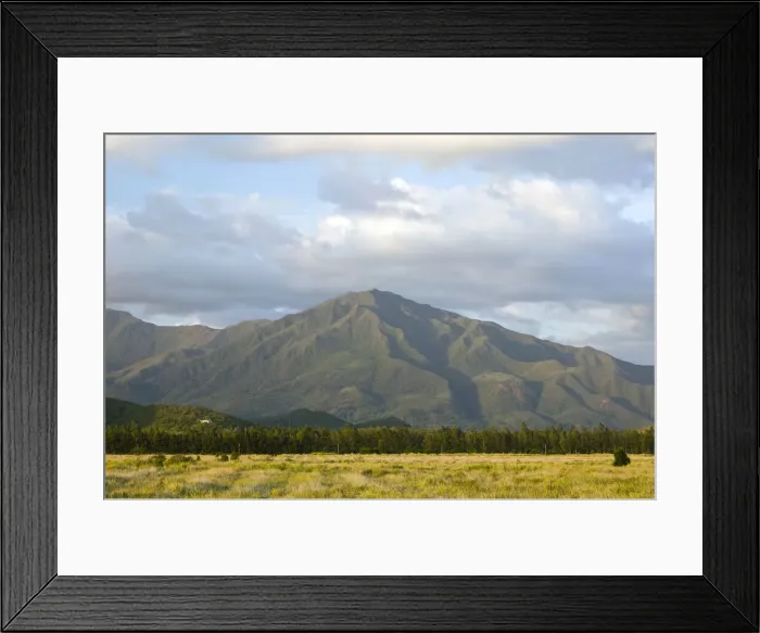 Framed Print : DDE-90037587