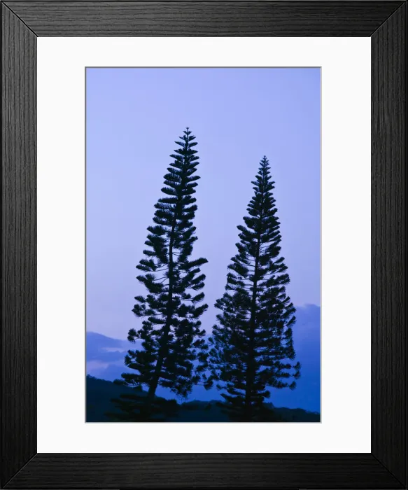 Framed Print : DDE-90037588 Framed Print : DDE-90037588