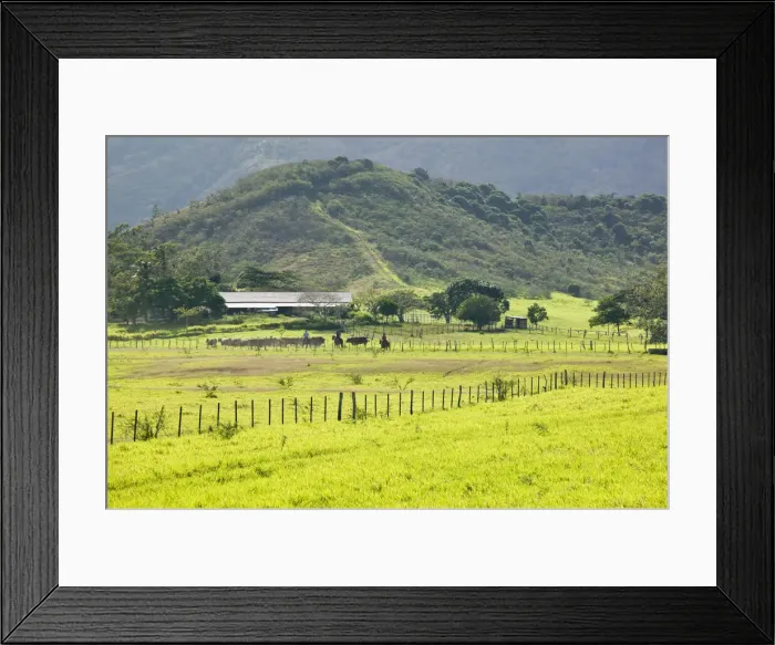 Framed Print : DDE-90037586 Framed Print : DDE-90037586