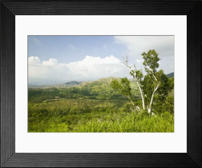 Framed Print : DDE-90037591 Framed Print : DDE-90037591