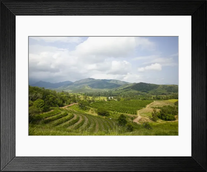 Framed Print : DDE-90037592 Framed Print : DDE-90037592
