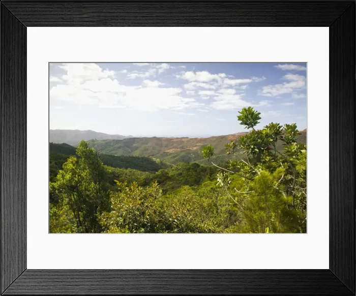 Framed Print : DDE-90037593 Framed Print : DDE-90037593