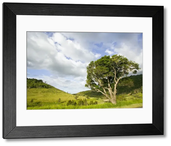 Framed Print : DDE-90037596 Framed Print : DDE-90037596