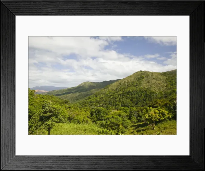 Framed Print : DDE-90037594