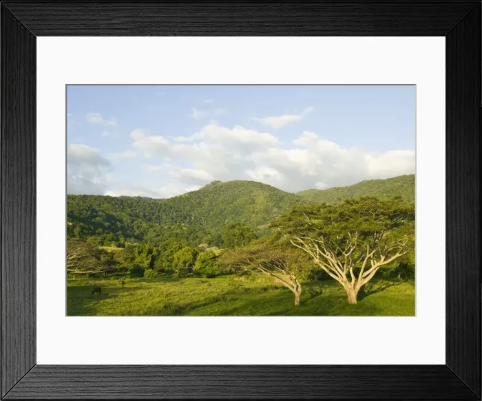 Framed Print : DDE-90037598 Framed Print : DDE-90037598